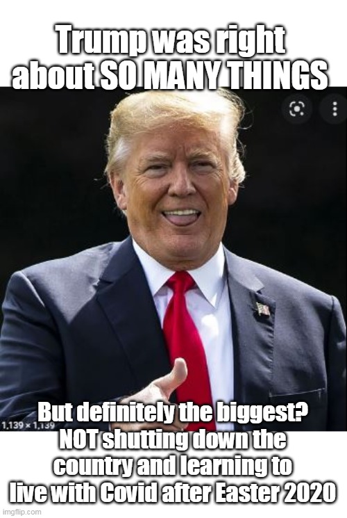 COUNTLESS disasters could've been avoided | Trump was right about SO MANY THINGS; But definitely the biggest?
NOT shutting down the country and learning to live with Covid after Easter 2020 | image tagged in loose cannon but my kinda loose cannon | made w/ Imgflip meme maker