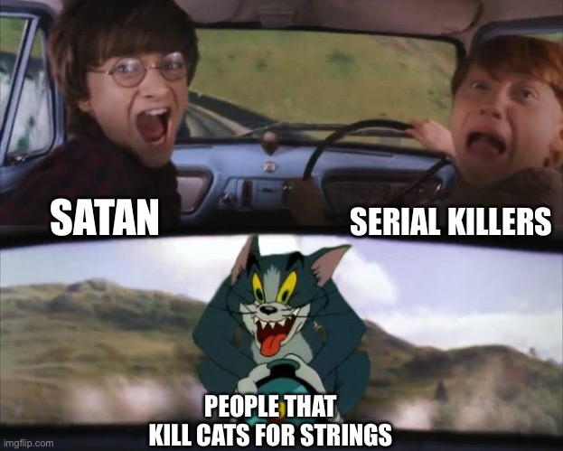 When you’re afraid of spider | SERIAL KILLERS; SATAN; PEOPLE THAT KILL CATS FOR STRINGS | image tagged in tom chasing harry and ron weasly | made w/ Imgflip meme maker