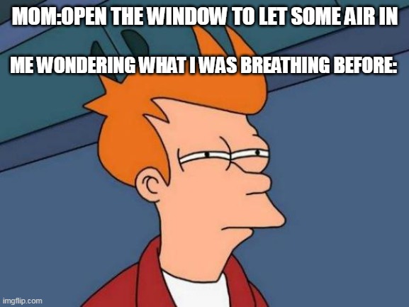 hmmmmm | MOM:OPEN THE WINDOW TO LET SOME AIR IN; ME WONDERING WHAT I WAS BREATHING BEFORE: | image tagged in memes,futurama fry | made w/ Imgflip meme maker