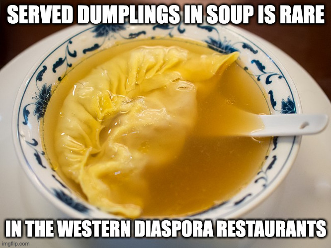 Dumpling in Soup | SERVED DUMPLINGS IN SOUP IS RARE; IN THE WESTERN DIASPORA RESTAURANTS | image tagged in food,dumpling,memes | made w/ Imgflip meme maker