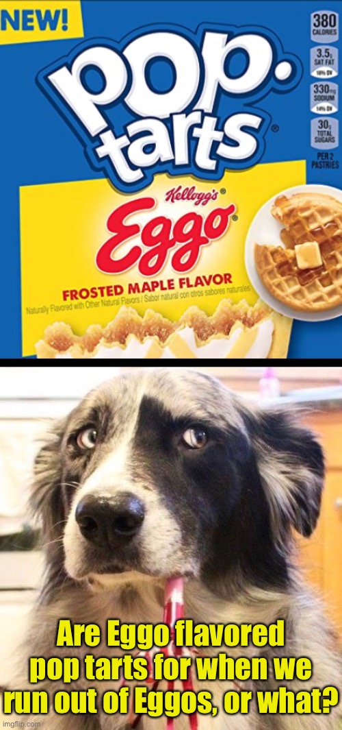 I think I prefer the real deal. | Are Eggo flavored pop tarts for when we run out of Eggos, or what? | image tagged in funny memes,eggo flavored pop tarts,this makes no sense | made w/ Imgflip meme maker