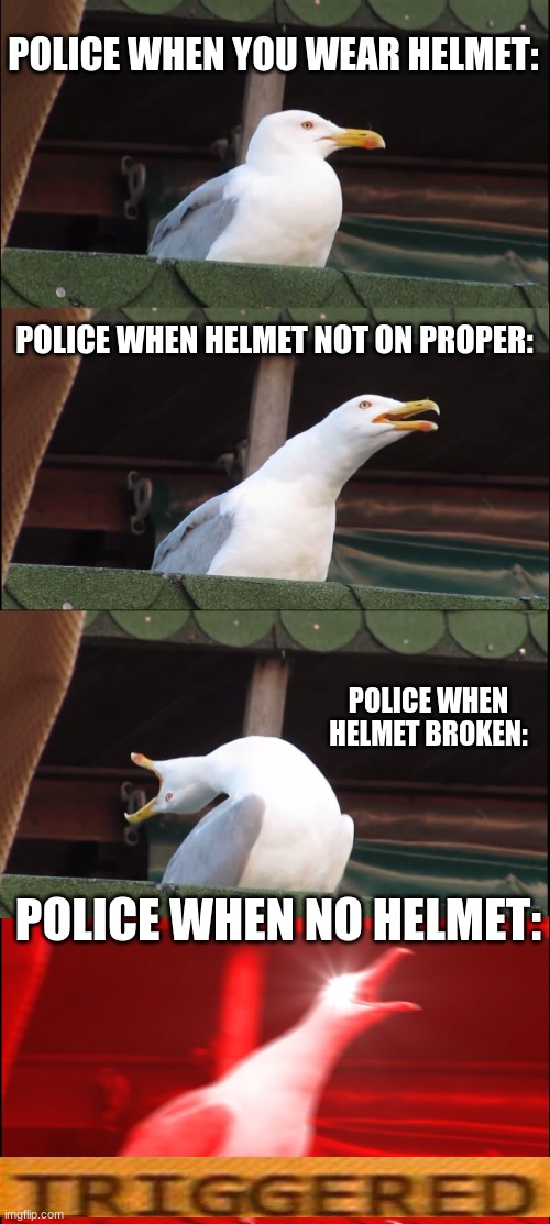 school project for helmet safety | POLICE WHEN YOU WEAR HELMET:; POLICE WHEN HELMET NOT ON PROPER:; POLICE WHEN HELMET BROKEN:; POLICE WHEN NO HELMET: | image tagged in memes,inhaling seagull | made w/ Imgflip meme maker