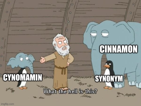 What the hell is this? | CINNAMON; SYNONYM; CYNOMAMIN | image tagged in what the hell is this | made w/ Imgflip meme maker