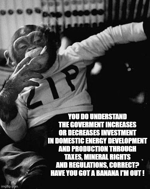 Zip the Smoking Chimp | YOU DO UNDERSTAND THE GOVERMENT INCREASES OR DECREASES INVESTMENT IN DOMESTIC ENERGY DEVELOPMENT AND PRODUCTION THROUGH TAXES, MINERAL RIGHT | image tagged in zip the smoking chimp | made w/ Imgflip meme maker