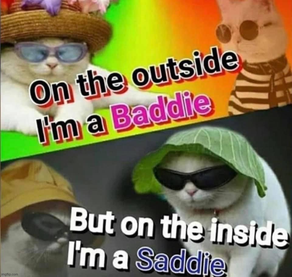sad | image tagged in on the outside i m a baddie,sad,s,a,d,saddie | made w/ Imgflip meme maker