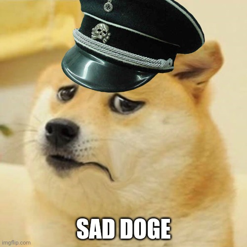 SAD DOGE | made w/ Imgflip meme maker