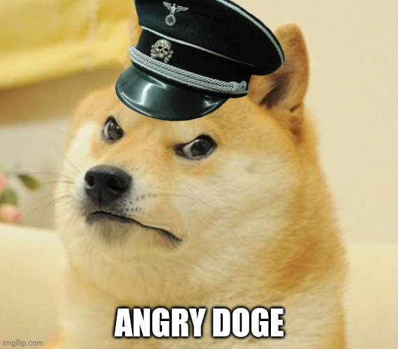 Angry Doge | ANGRY DOGE | image tagged in angry doge | made w/ Imgflip meme maker