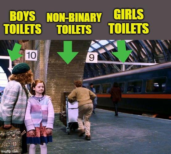 NON-BINARY TOILETS BOYS TOILETS GIRLS TOILETS | made w/ Imgflip meme maker