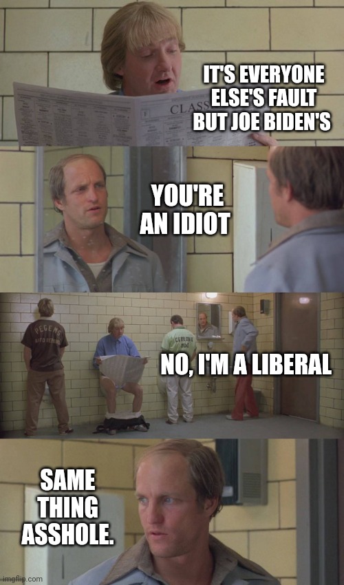 The morons amongst us. | IT'S EVERYONE ELSE'S FAULT BUT JOE BIDEN'S; YOU'RE AN IDIOT; NO, I'M A LIBERAL; SAME THING ASSHOLE. | image tagged in woody harrelson | made w/ Imgflip meme maker