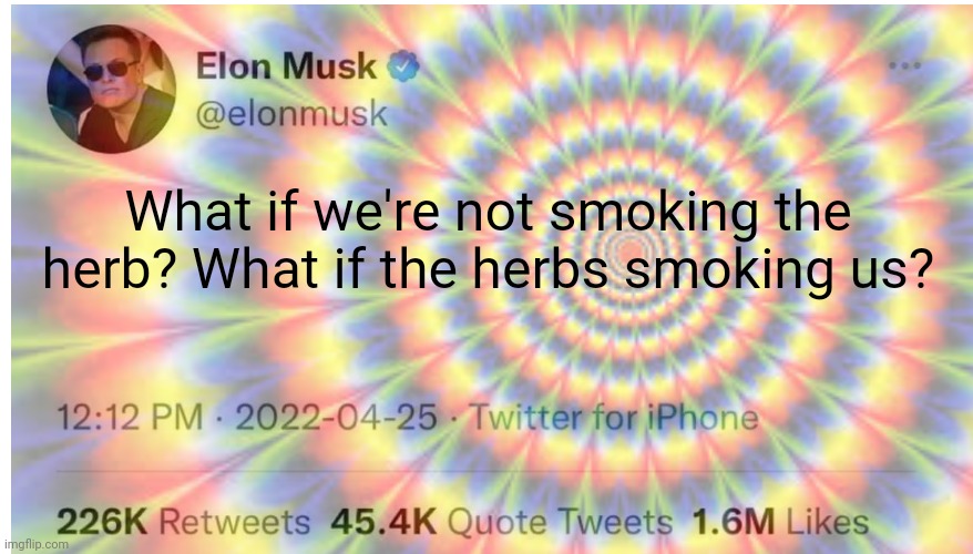 It's time to stop | What if we're not smoking the herb? What if the herbs smoking us? | image tagged in stop it get some help,smoke weed everyday,elon musk | made w/ Imgflip meme maker