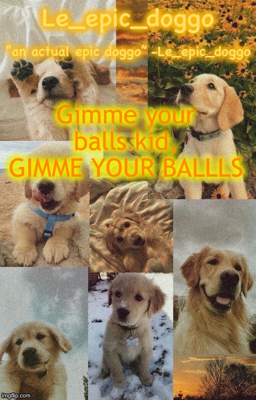 Doggo temp by doggo. Wait what that’s confusing | Gimme your balls kid, GIMME YOUR BALLLS | image tagged in doggo temp by doggo wait what that s confusing | made w/ Imgflip meme maker