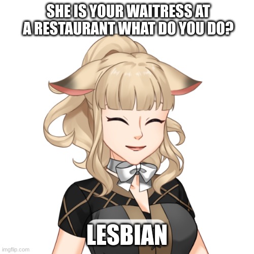 SHE IS YOUR WAITRESS AT A RESTAURANT WHAT DO YOU DO? LESBIAN | made w/ Imgflip meme maker