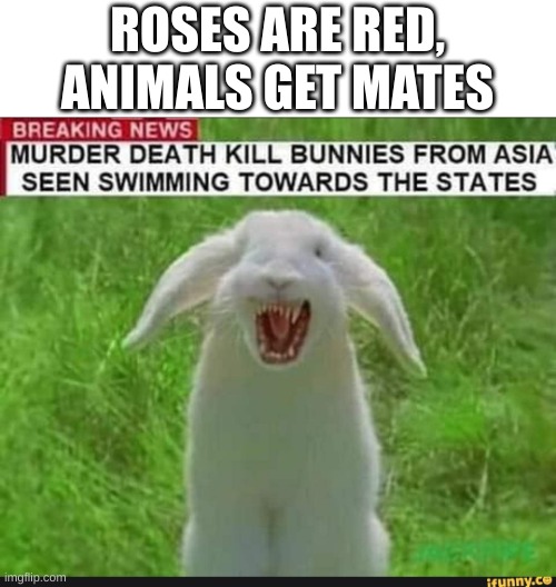 If you get scared easily, please don't view | ROSES ARE RED,
ANIMALS GET MATES | image tagged in scary,upload,bunny | made w/ Imgflip meme maker