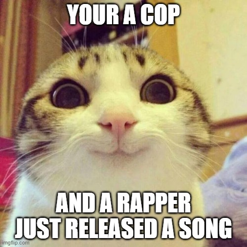 All the crimes they just admitted to | YOUR A COP; AND A RAPPER JUST RELEASED A SONG | image tagged in memes,smiling cat | made w/ Imgflip meme maker