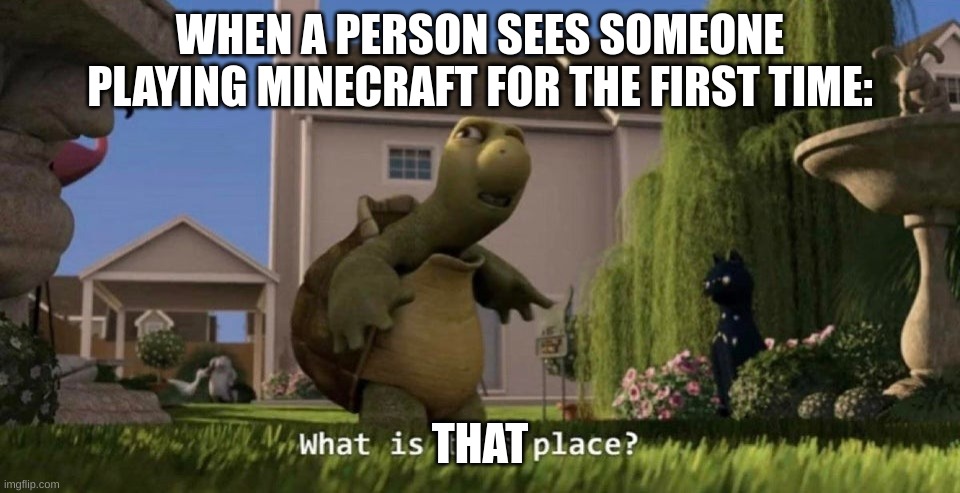The person: What is that place? | WHEN A PERSON SEES SOMEONE PLAYING MINECRAFT FOR THE FIRST TIME:; THAT | image tagged in what is this place | made w/ Imgflip meme maker