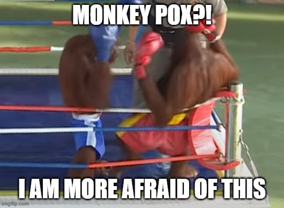 Monkey Pox? | MONKEY POX?! I AM MORE AFRAID OF THIS | image tagged in monkey pox,boxing,monkey | made w/ Imgflip meme maker
