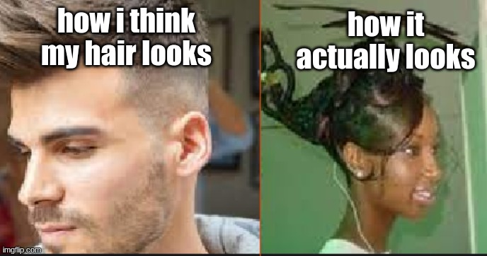 when you touch your hair without looking | how i think my hair looks; how it actually looks | image tagged in funny | made w/ Imgflip meme maker
