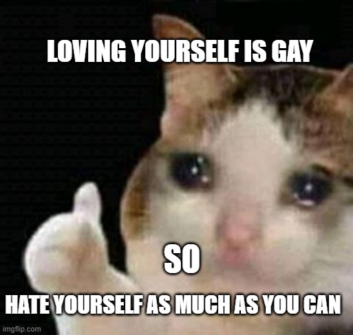 sad thumbs up cat | LOVING YOURSELF IS GAY; SO; HATE YOURSELF AS MUCH AS YOU CAN | image tagged in sad thumbs up cat | made w/ Imgflip meme maker