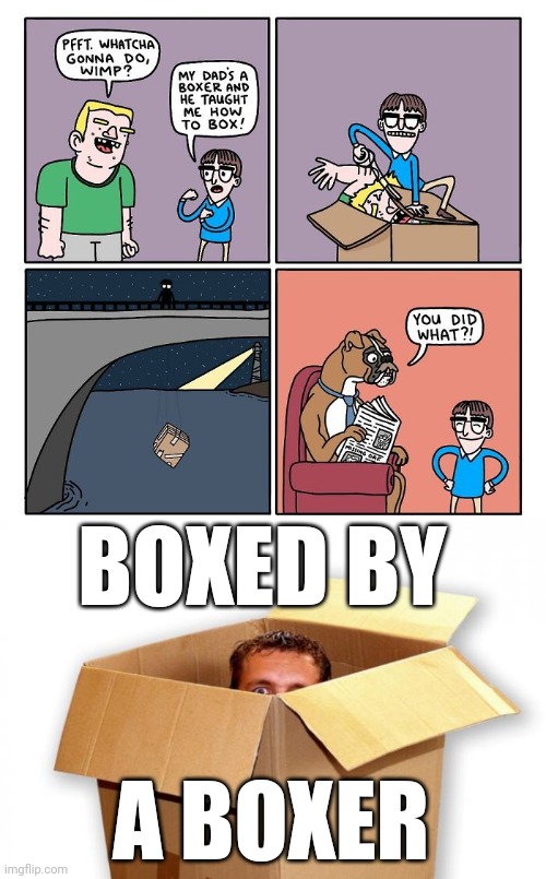 Boxing | BOXED BY; A BOXER | image tagged in box boxed boxes boxer,boxer,boxing,memes,comics/cartoons,comics | made w/ Imgflip meme maker