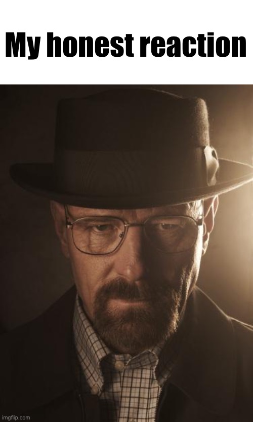 Walter White | My honest reaction | image tagged in walter white | made w/ Imgflip meme maker