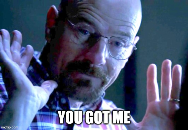 Walter you got me | YOU GOT ME | image tagged in walter you got me | made w/ Imgflip meme maker
