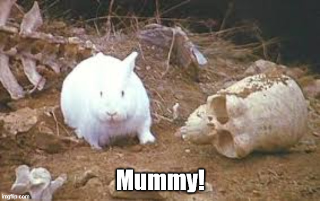 Holy Grail Rabbit | Mummy! | image tagged in holy grail rabbit | made w/ Imgflip meme maker