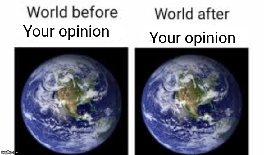 The world before (X) and after (X) | Your opinion; Your opinion | image tagged in the world before x and after x | made w/ Imgflip meme maker