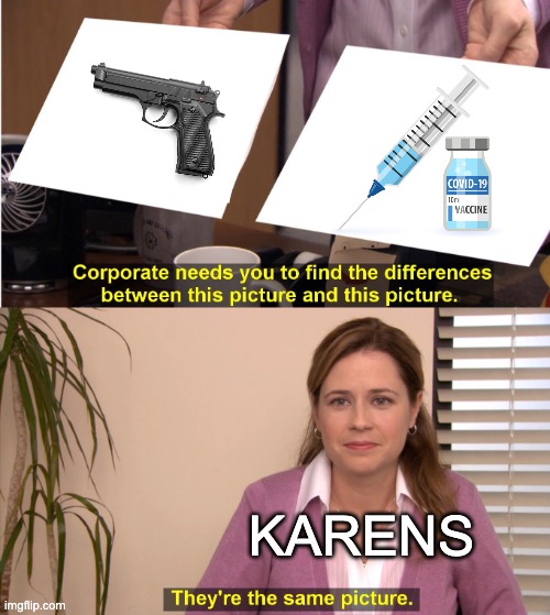 They're The Same Picture Meme | KARENS | image tagged in memes,they're the same picture,karen,karens | made w/ Imgflip meme maker