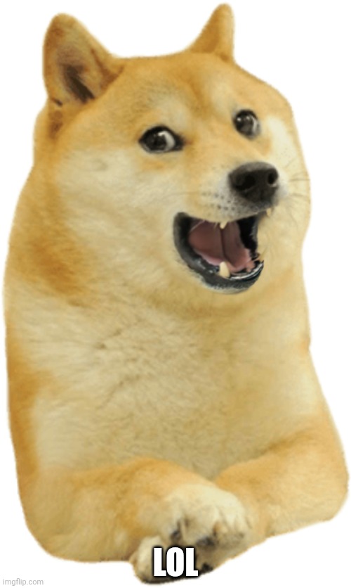 Doge laughing | LOL | image tagged in doge laughing | made w/ Imgflip meme maker