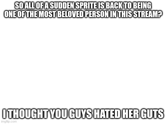 Like huh? | SO ALL OF A SUDDEN SPRITE IS BACK TO BEING ONE OF THE MOST BELOVED PERSON IN THIS STREAM? I THOUGHT YOU GUYS HATED HER GUTS | image tagged in blank white template | made w/ Imgflip meme maker