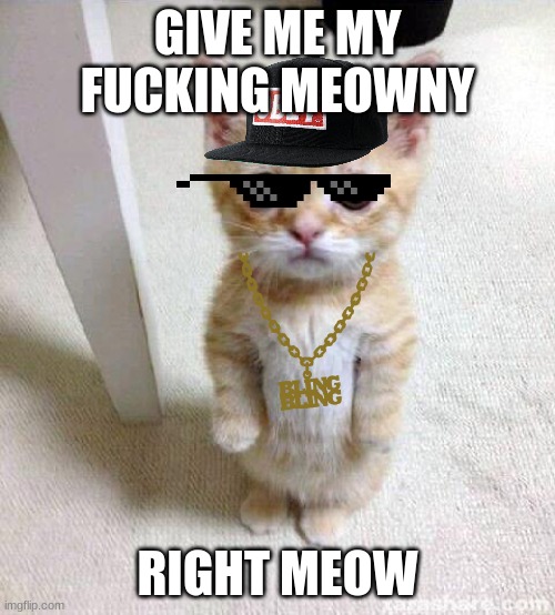 Dank Gansta Kat | GIVE ME MY FUCKING MEOWNY; RIGHT MEOW | image tagged in memes,cute cat | made w/ Imgflip meme maker