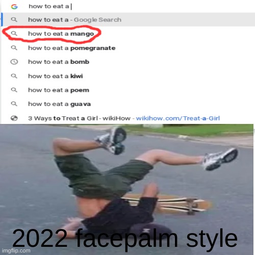 haha | 2022 facepalm style | image tagged in google search | made w/ Imgflip meme maker