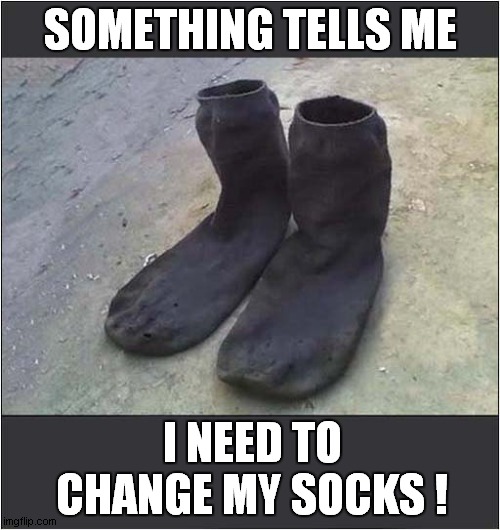 Should They Stand Up On There Own ? |  SOMETHING TELLS ME; I NEED TO CHANGE MY SOCKS ! | image tagged in fun,socks,stand up,change | made w/ Imgflip meme maker