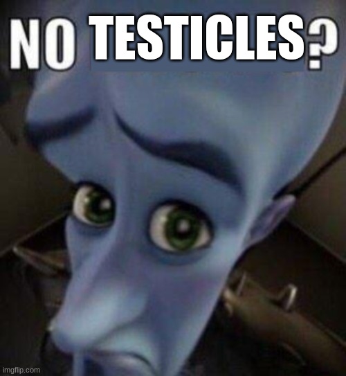 megamind no blank | TESTICLES | image tagged in megamind no blank | made w/ Imgflip meme maker