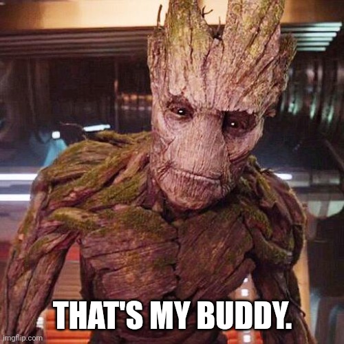 Groot Guardians of the Galaxy | THAT'S MY BUDDY. | image tagged in groot guardians of the galaxy | made w/ Imgflip meme maker