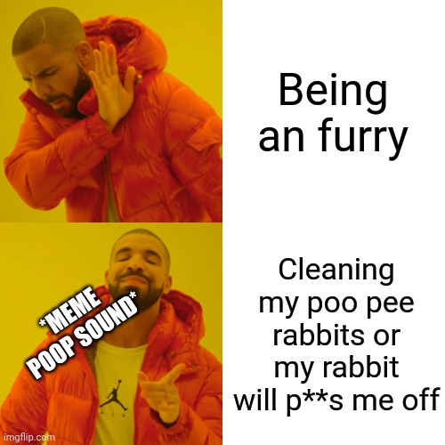 Drake Hotline Bling Meme | Being an furry Cleaning my poo pee rabbits or my rabbit will p**s me off *MEME POOP SOUND* | image tagged in memes,drake hotline bling | made w/ Imgflip meme maker
