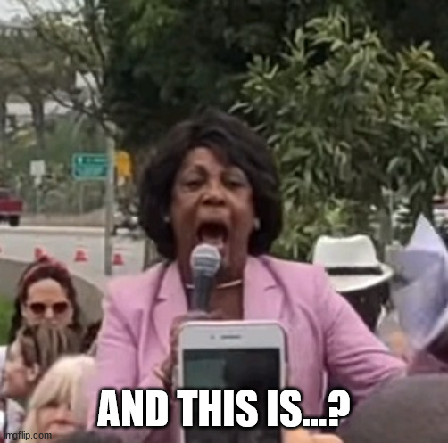 Maxine Waters | AND THIS IS...? | image tagged in maxine waters | made w/ Imgflip meme maker