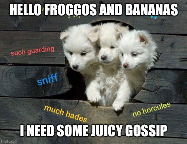 IDC if it’s irl, I just need some | HELLO FROGGOS AND BANANAS; I NEED SOME JUICY GOSSIP | made w/ Imgflip meme maker