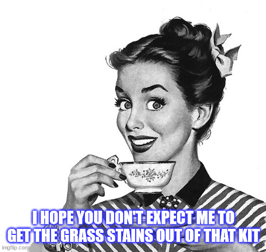 Retro woman teacup | I HOPE YOU DON'T EXPECT ME TO GET THE GRASS STAINS OUT OF THAT KIT | image tagged in retro woman teacup | made w/ Imgflip meme maker