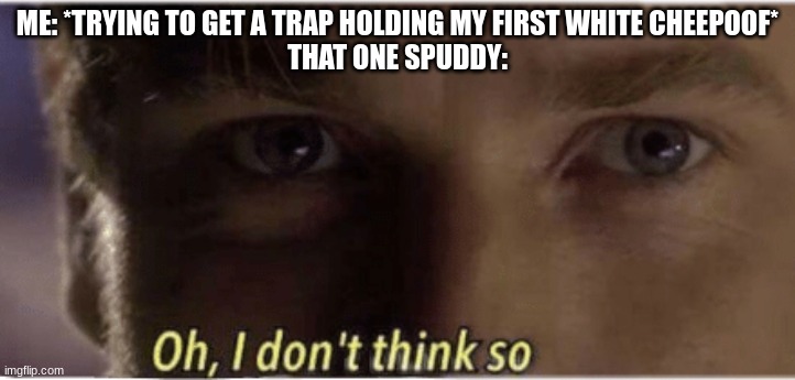 balls | ME: *TRYING TO GET A TRAP HOLDING MY FIRST WHITE CHEEPOOF*
THAT ONE SPUDDY: | made w/ Imgflip meme maker