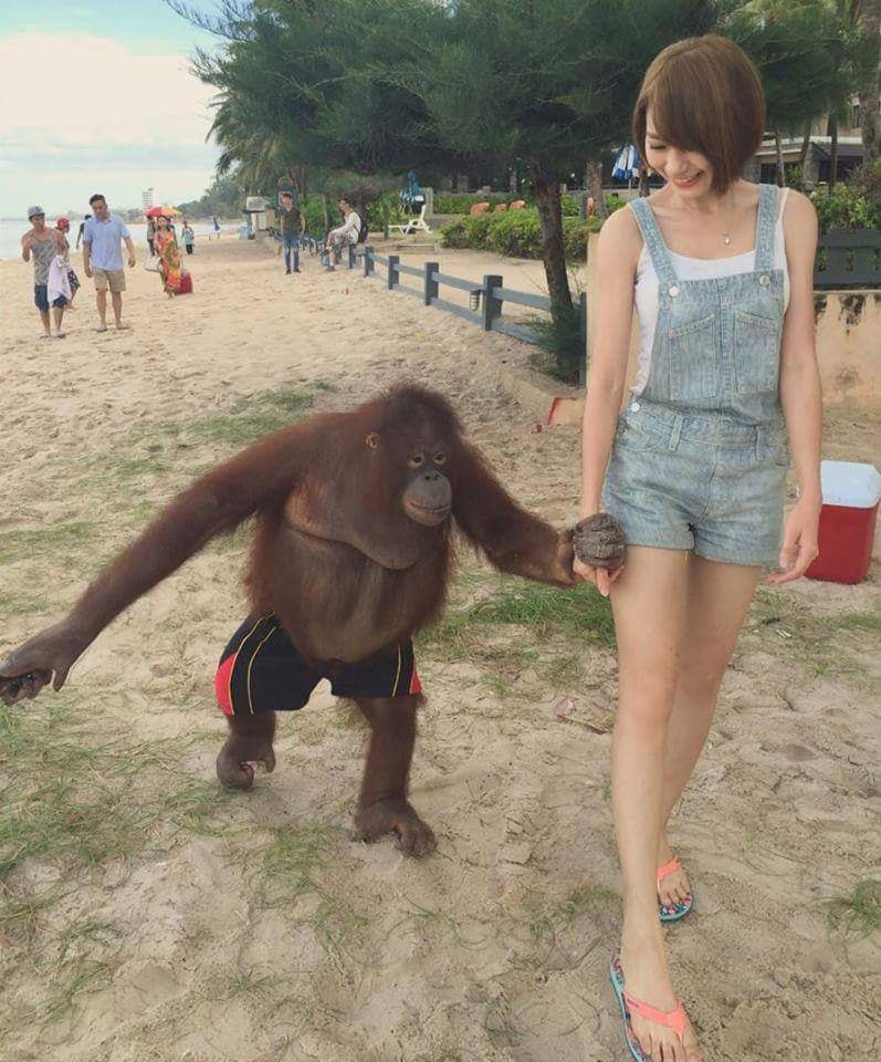 Asian woman with monkey Blank Meme Template