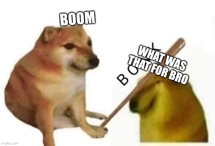 BONKERS |  BOOM; WHAT WAS THAT FOR BRO | image tagged in doge bonk | made w/ Imgflip meme maker