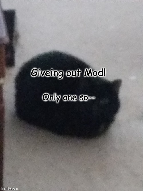 MOD GIVEOUT ( Giveout over- ) | Giveing out Mod! Only one so-- | image tagged in low quality ninja | made w/ Imgflip meme maker