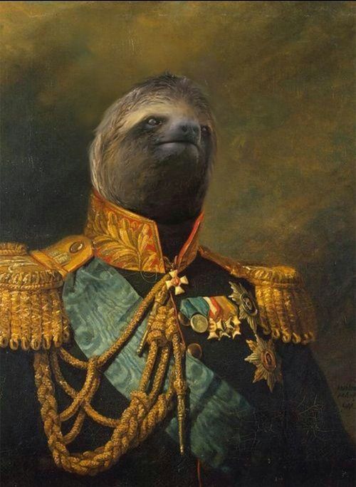 High Quality General sloth Blank Meme Template