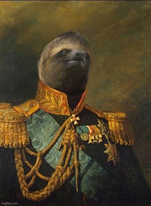 General sloth | image tagged in general sloth | made w/ Imgflip meme maker