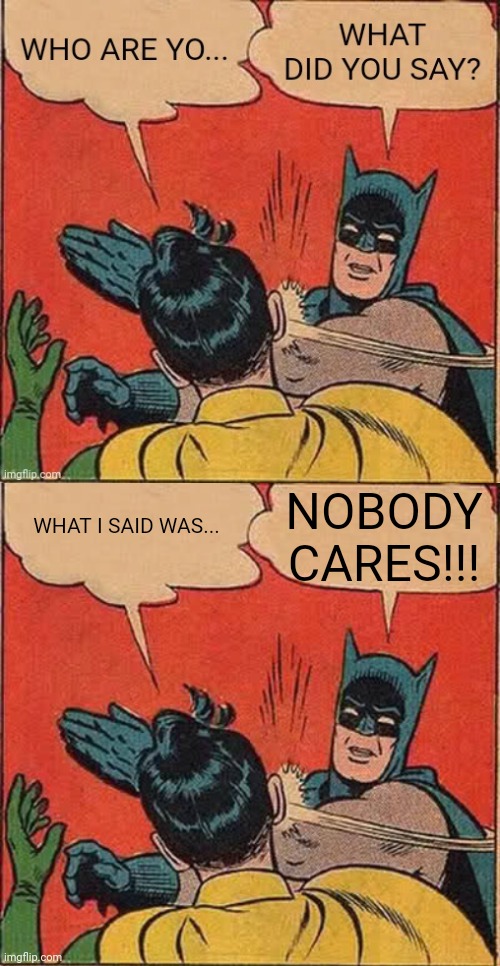 When you see a hater on your friends page | NOBODY CARES!!! WHAT I SAID WAS... | image tagged in memes,batman slapping robin | made w/ Imgflip meme maker