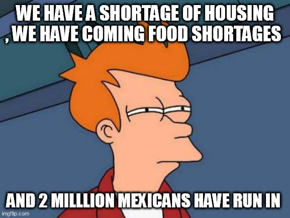 Futurama Fry Meme | WE HAVE A SHORTAGE OF HOUSING , WE HAVE COMING FOOD SHORTAGES; AND 2 MILLLION MEXICANS HAVE RUN IN | image tagged in memes,futurama fry | made w/ Imgflip meme maker