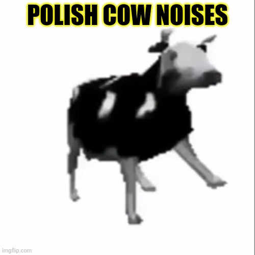 dancing polish cow | POLISH COW NOISES | image tagged in dancing polish cow | made w/ Imgflip meme maker