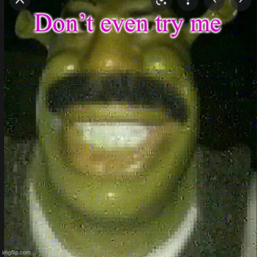 Don’t even try me | image tagged in shrek | made w/ Imgflip meme maker
