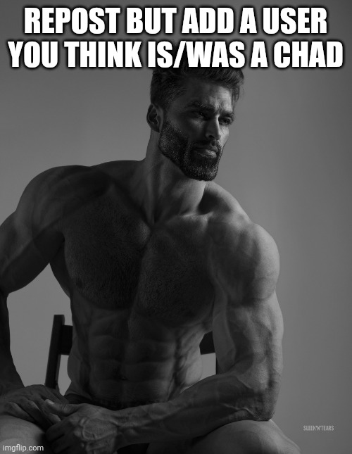 Giga Chad | REPOST BUT ADD A USER YOU THINK IS/WAS A CHAD | image tagged in giga chad | made w/ Imgflip meme maker